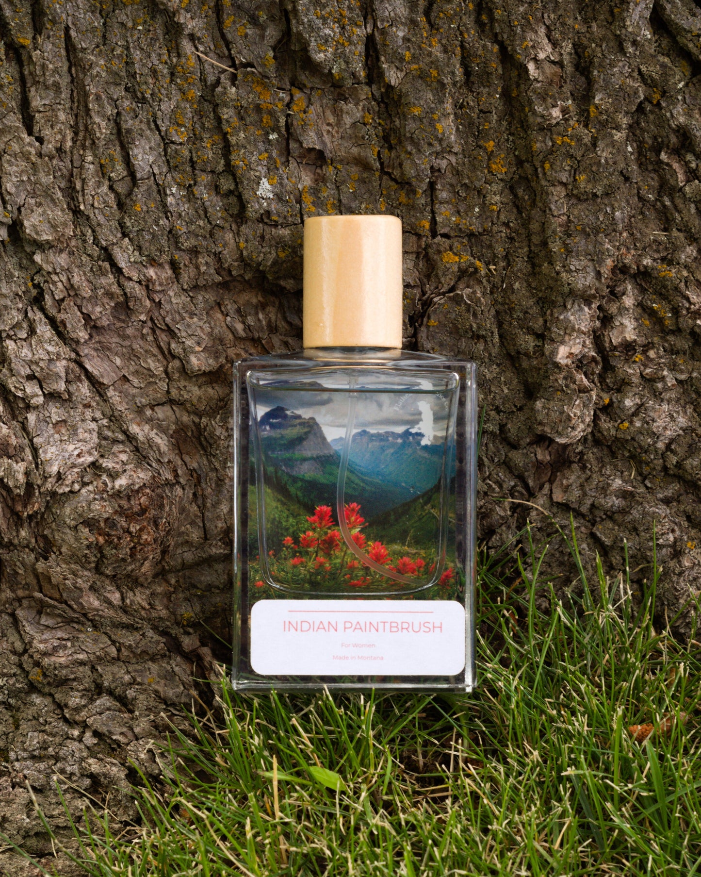 Indian Paintbrush for Women