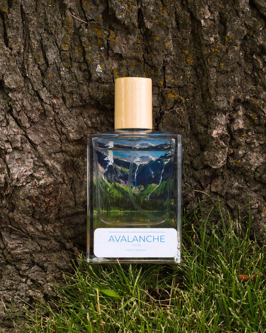 Avalanche for Men