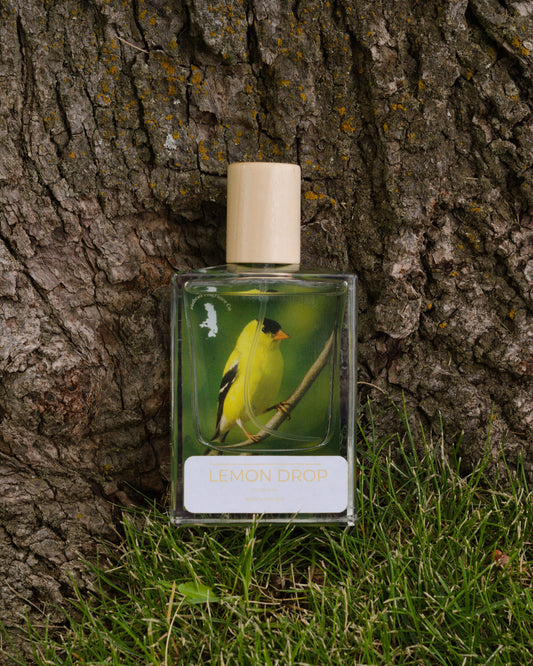 Lemon Drop for Women